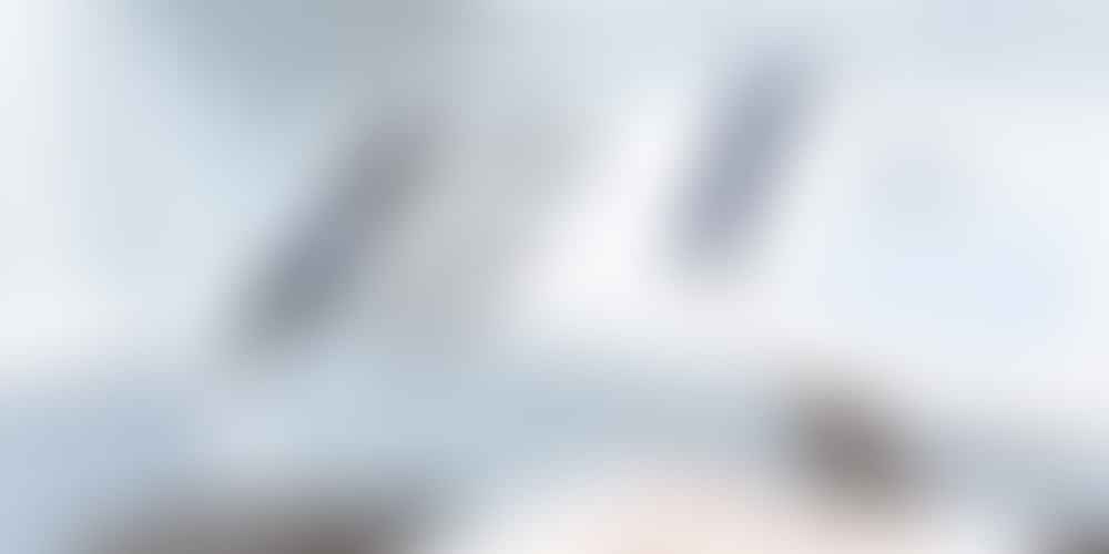 Why are dental services often expensive?
