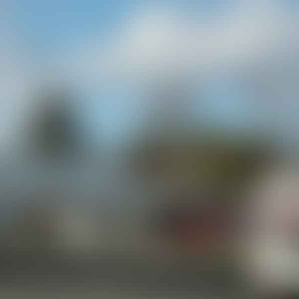 Best Dental Clinics in Cottonwood, California