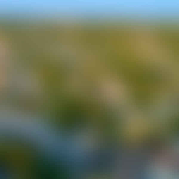 Best Dental Clinics in Waterbury, Connecticut