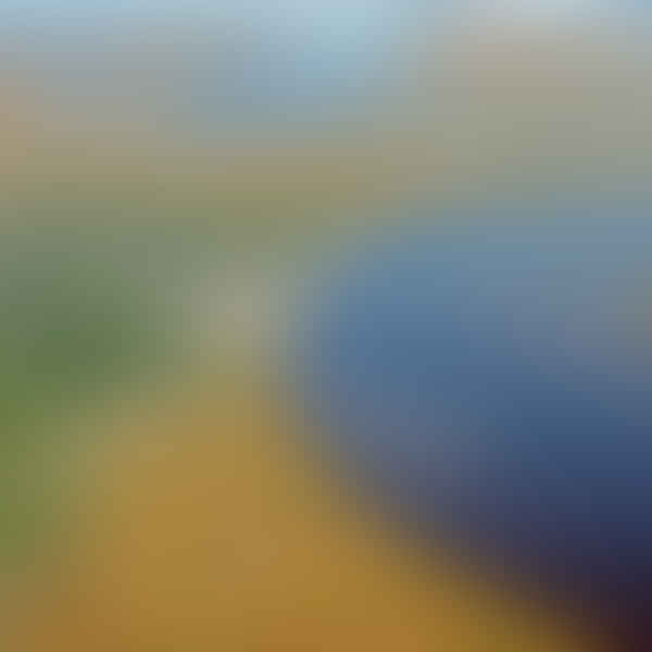 Best Dental Clinics in St Marys, Georgia