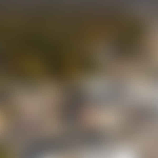 Best Dental Clinics in Warner Robins, Georgia