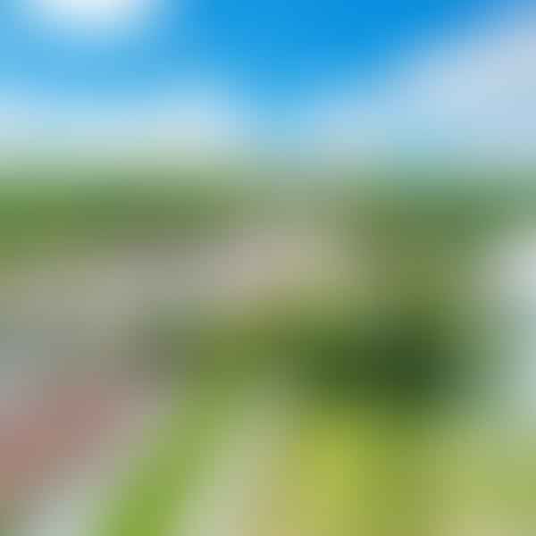 Best Dental Clinics in Dawsonville, Georgia