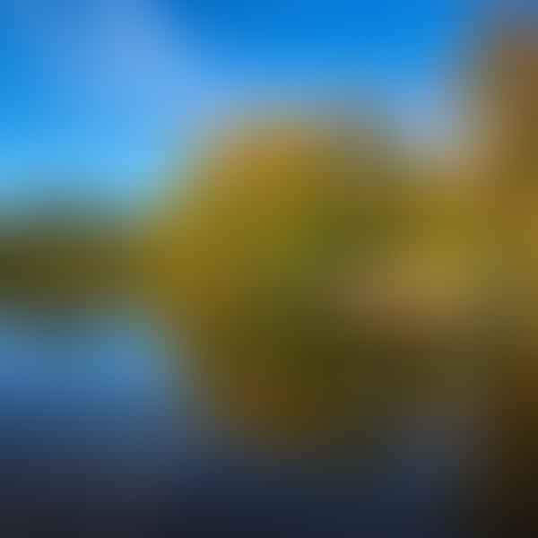 Best Dental Clinics in Iowa Falls, Iowa