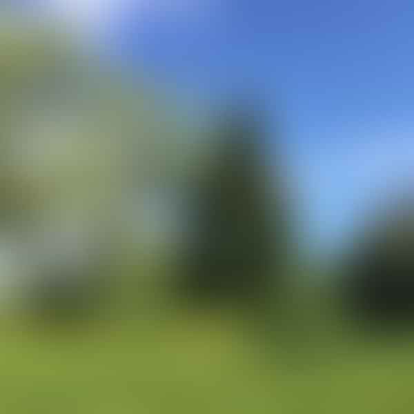 Best Dental Clinics in Wilton, Maine