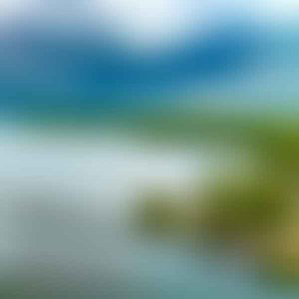Best Dental Clinics in Lake City, Michigan