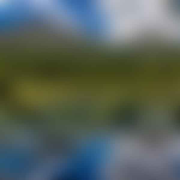 Best Dental Clinics in Roundup, Montana