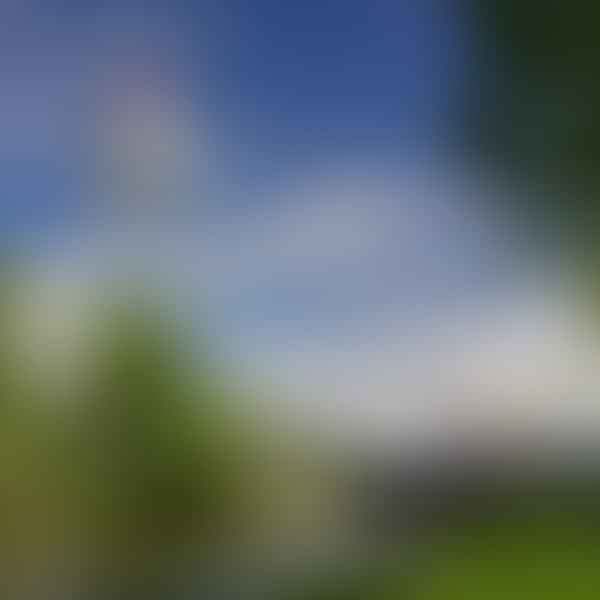 Best Dental Clinics in Twin Bridges, Montana