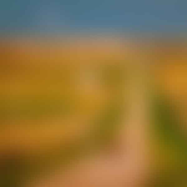 Best Dental Clinics in Neligh, Nebraska