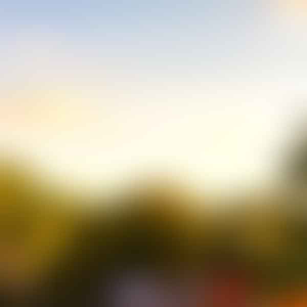 Best Dental Clinics in Friendswood, Texas