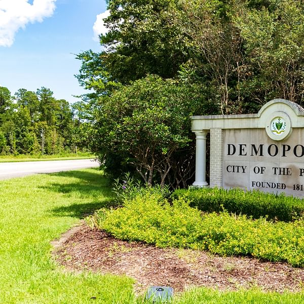 Best Dental Clinics in Demopolis, Alabama