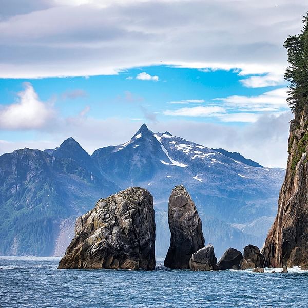 Best Dental Clinics in Seward, Alaska
