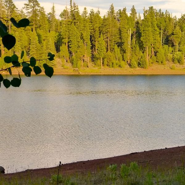Best Dental Clinics in Pinetop-Lakeside, Arizona