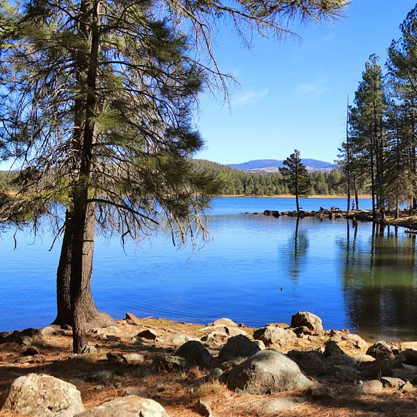 Best Dental Clinics in Pinetop, Arizona