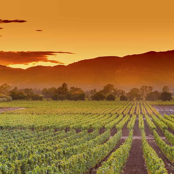Best Dental Clinics in Napa, California