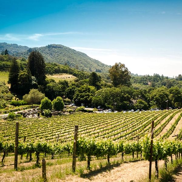 Best Dental Clinics in Sonoma, California