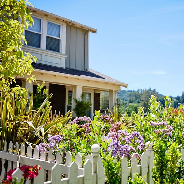 Best Dental Clinics in Larkspur, California