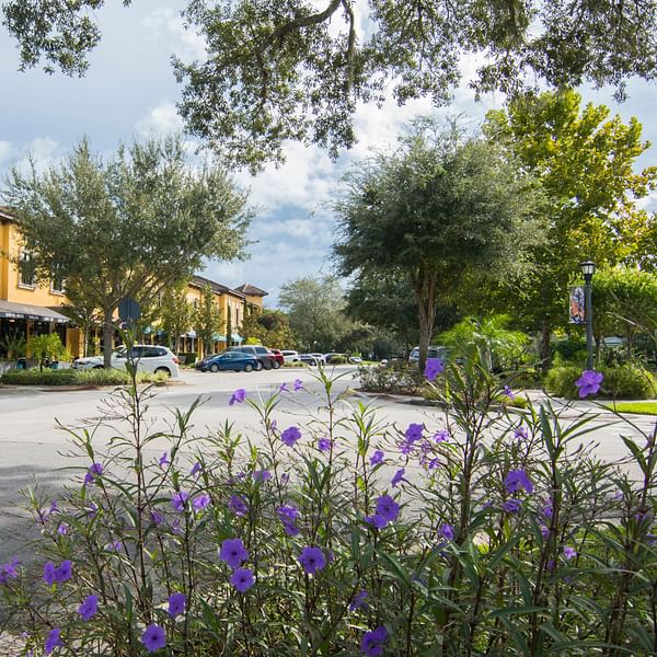 Best Dental Clinics in Lake Mary, Florida