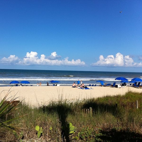 Best Dental Clinics in Ponte Vedra Beach, Florida