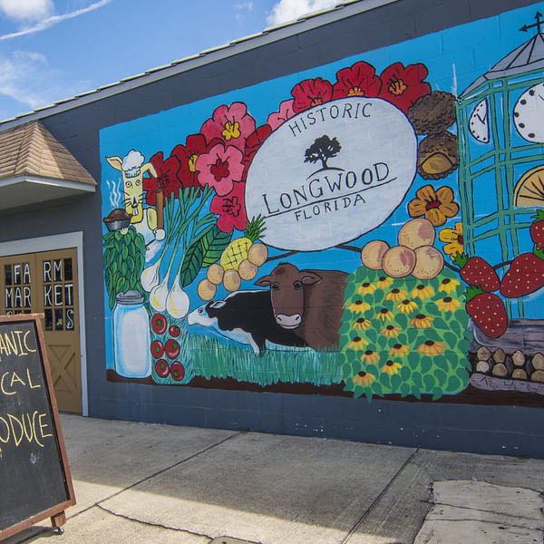 Best Dental Clinics in Longwood, Florida
