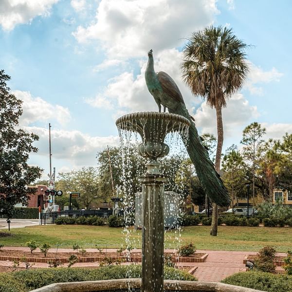 Best Dental Clinics in Winter Park, Florida