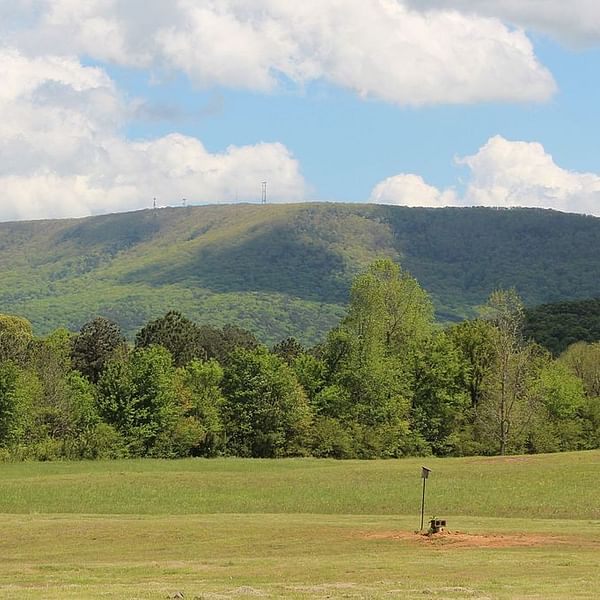 Best Dental Clinics in Pine Mountain, Georgia