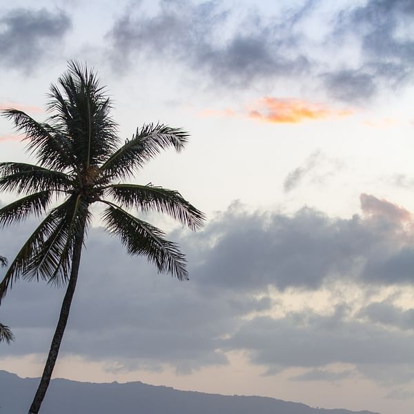 Best Dental Clinics in Wahiawa, Hawaii