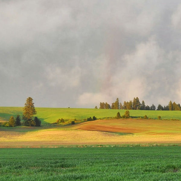 Best Dental Clinics in Potlatch, Idaho