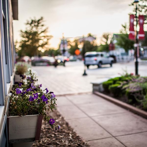 Best Dental Clinics in Plainfield, Illinois