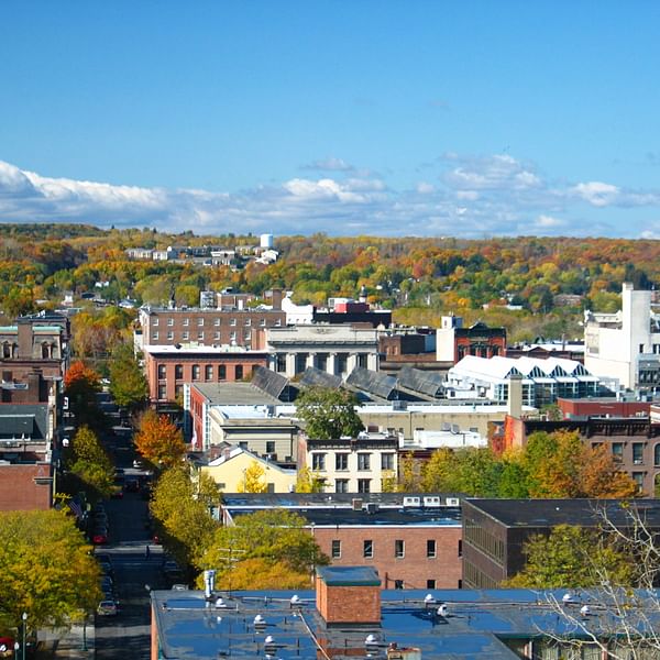 Best Dental Clinics in Troy, New York