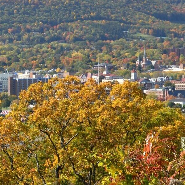 Best Dental Clinics in Elmira, New York