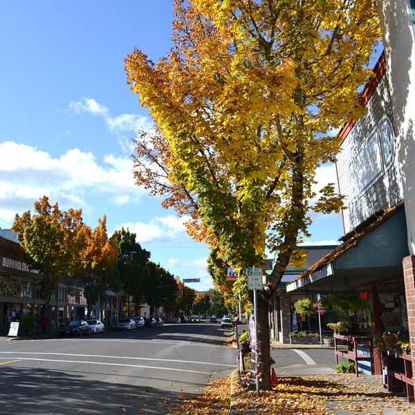 Best Dental Clinics in Cottage Grove, Oregon
