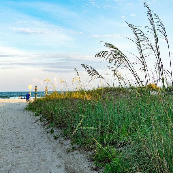 Best Dental Clinics in North Myrtle Beach, South Carolina