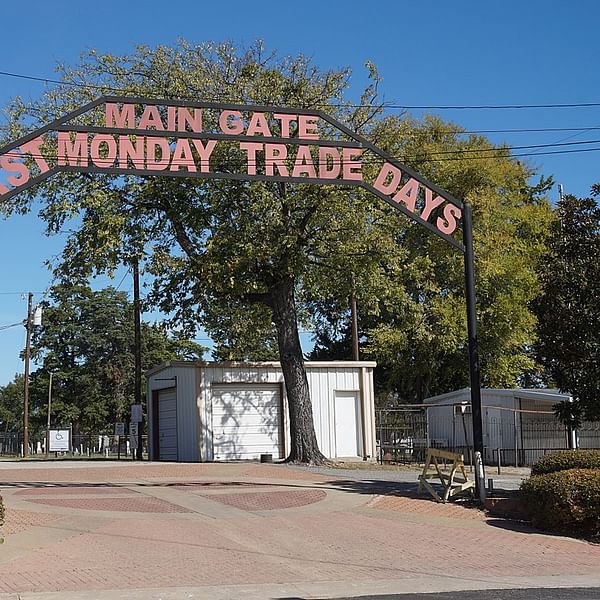 Best Dental Clinics in Canton, Texas