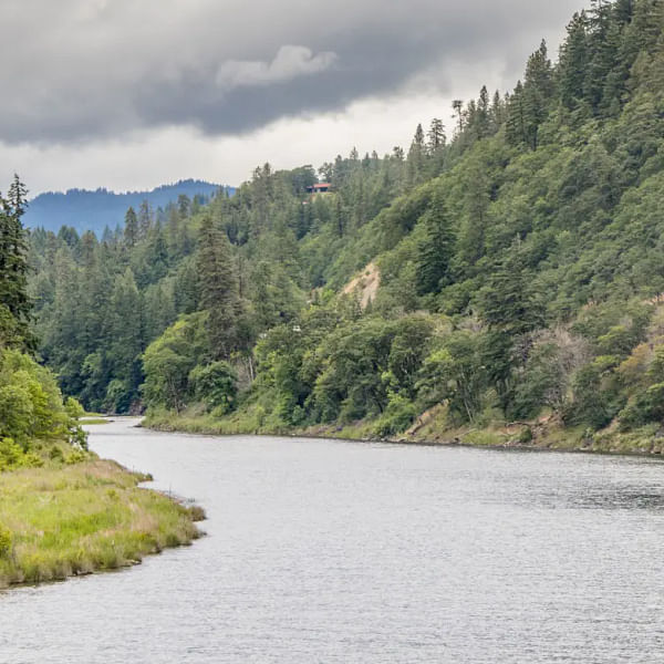 Best Dental Clinics in White Salmon, Washington