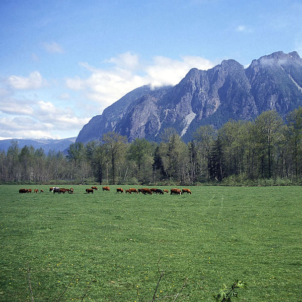 Best Dental Clinics in North Bend, Washington