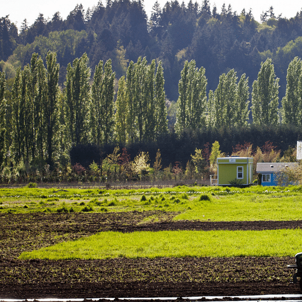 Best Dental Clinics in Woodinville, Washington