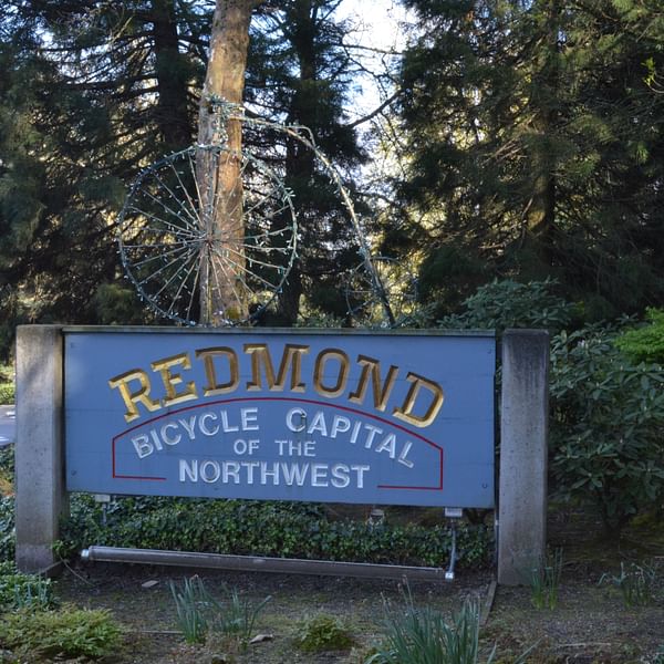 Best Dental Clinics in Redmond, Washington