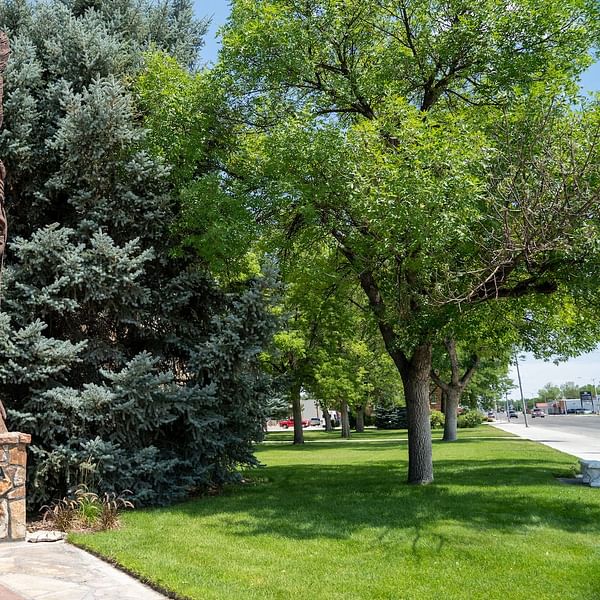 Best Dental Clinics in Worland, Wyoming