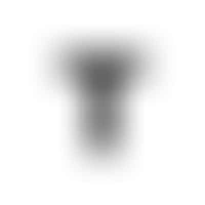 Dental Solutions Inc Logo