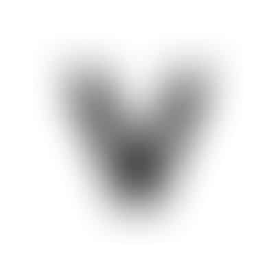 Vibrant Smiles Family & Cosmetic Dentistry Dr. Chea Rainford Logo