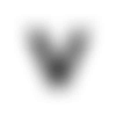 Valley Smiles - Phoenix Dentist Logo