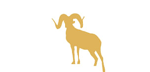 South Anchorage Dental Center Logo