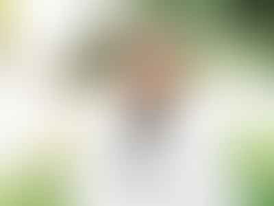 Apple Blossom Dental - West Jordan Dentist