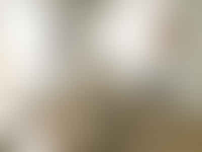 Bruce A. Denney DDS