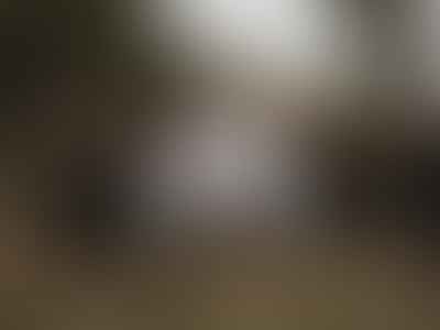 Dell Rapids Dental