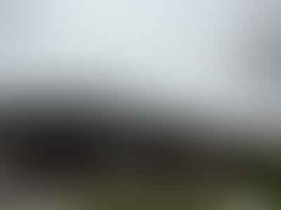 Holden Dental: James W. Stephenson DDS Derek Dutson DMD