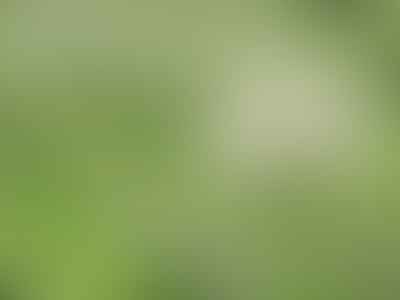 Jeneen Martin DDS - Distinctive Dentistry