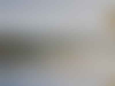 Napa Dentist Deirdre Burke DDS