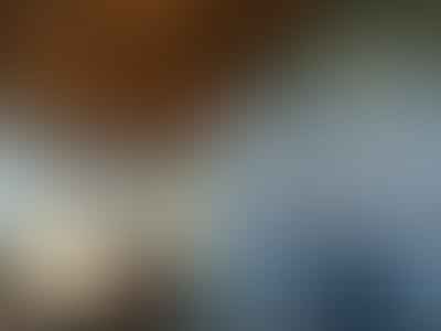 Walla Walla Dental Care: Laizure Dan L DDS
